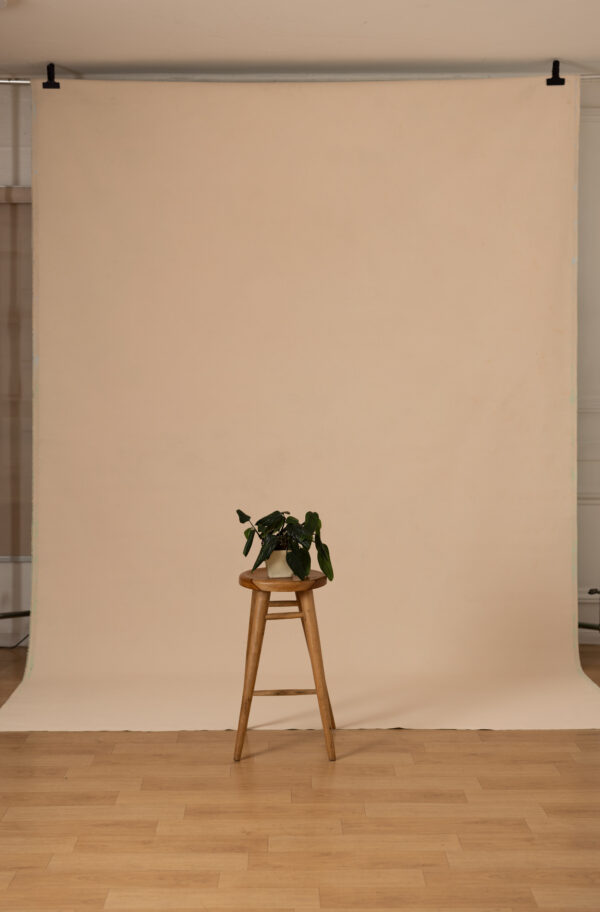 Mint Dune Painted Canvas Backdrop(RN#474)