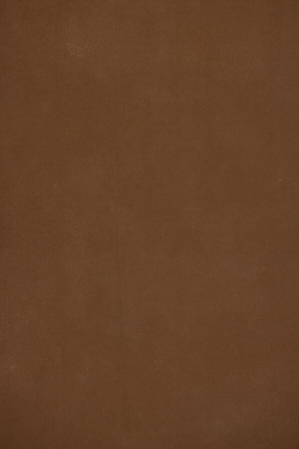 Earthy Walnut Painted Canvas Backdrop (RN#482)