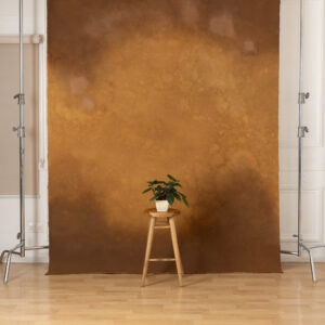 Golden Dusk Painted Canvas Backdrop (RN#481)