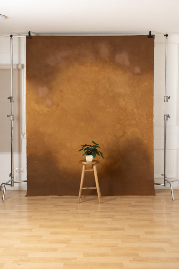 Golden Dusk Painted Canvas Backdrop (RN#481)