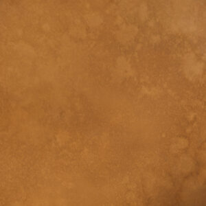 Golden Dusk Painted Canvas Backdrop (RN#481)