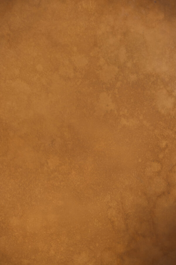 Golden Dusk Painted Canvas Backdrop (RN#481)