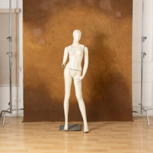 Golden Dusk Painted Canvas Backdrop (RN#481)