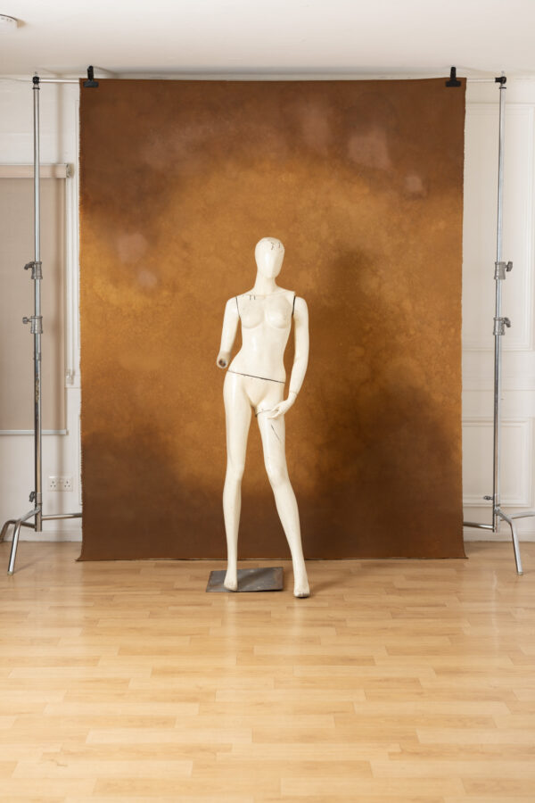 Golden Dusk Painted Canvas Backdrop (RN#481)