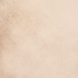 Greenwood Standstone Canvas Backdrop (SL#479)