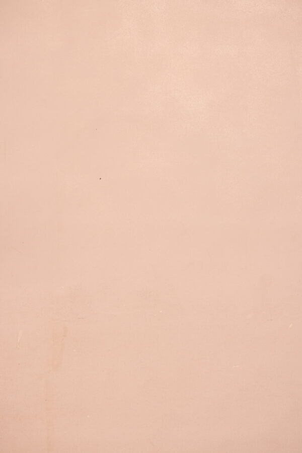 Mandys Pink Painted Canvas Backdrop (RN#483)