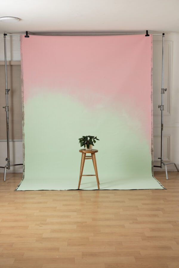 Vintage Bloom Painted Canvas Backdrop (SL#487)