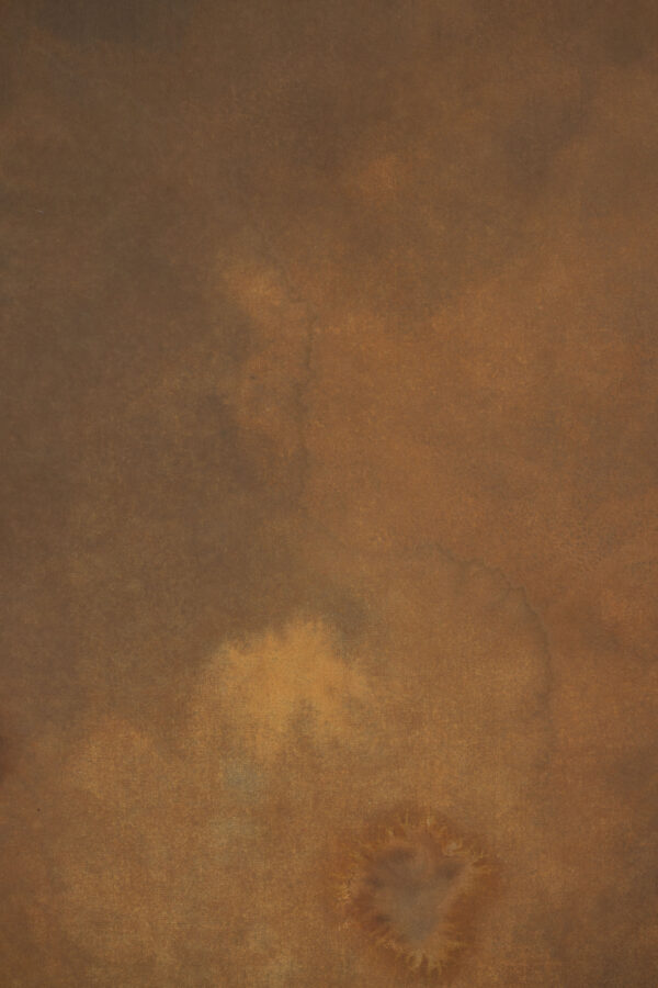 Vintage Cocoa Painted Canvas Backdrop (SL#480)