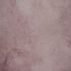 BlackEel And Venus Painted Canvas Backdrop (SL#491)