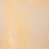 CongoBrown And Pavlova Painted Canvas Backdrop (RN#509)
