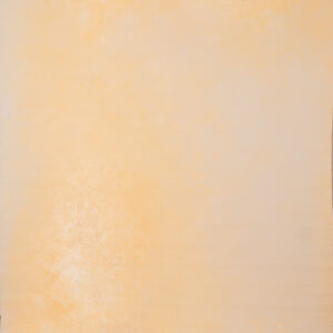 CongoBrown And Pavlova Painted Canvas Backdrop (RN#509)