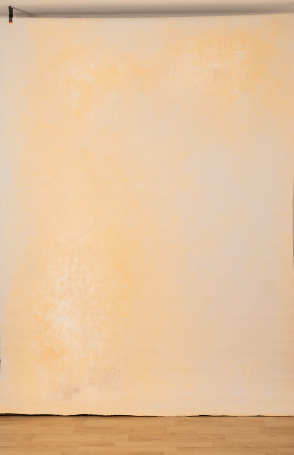 CongoBrown And Pavlova Painted Canvas Backdrop (RN#509)