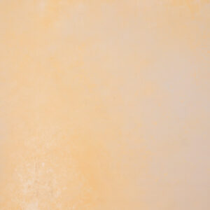 CongoBrown And Pavlova Painted Canvas Backdrop (RN#509)