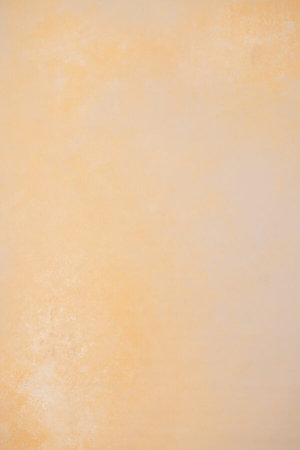 CongoBrown And Pavlova Painted Canvas Backdrop (RN#509)