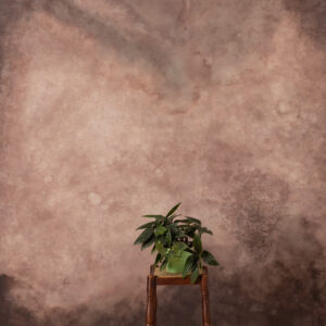 CongoBrown And Pavlova Painted Canvas Backdrop (RN#509)