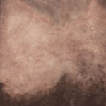 CongoBrown And Pavlova Painted Canvas Backdrop (RN#509)