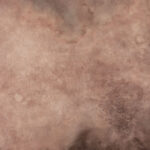 CongoBrown And Pavlova Painted Canvas Backdrop (RN#509)