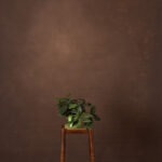 English Walnut Painted Canvas Backdrop (RN#506)