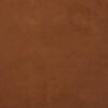 Pickled Bean Painted Canvas Backdrop (RN#505)