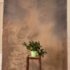 Ethereal Dust Painted Canvas Backdrop (RN#510)