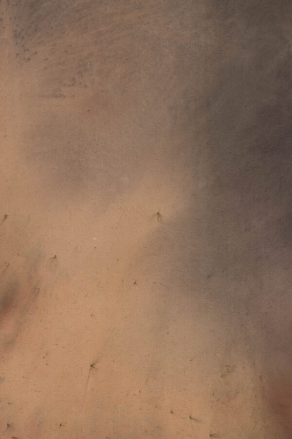 Ethereal Dust Painted Canvas Backdrop (RN#510)