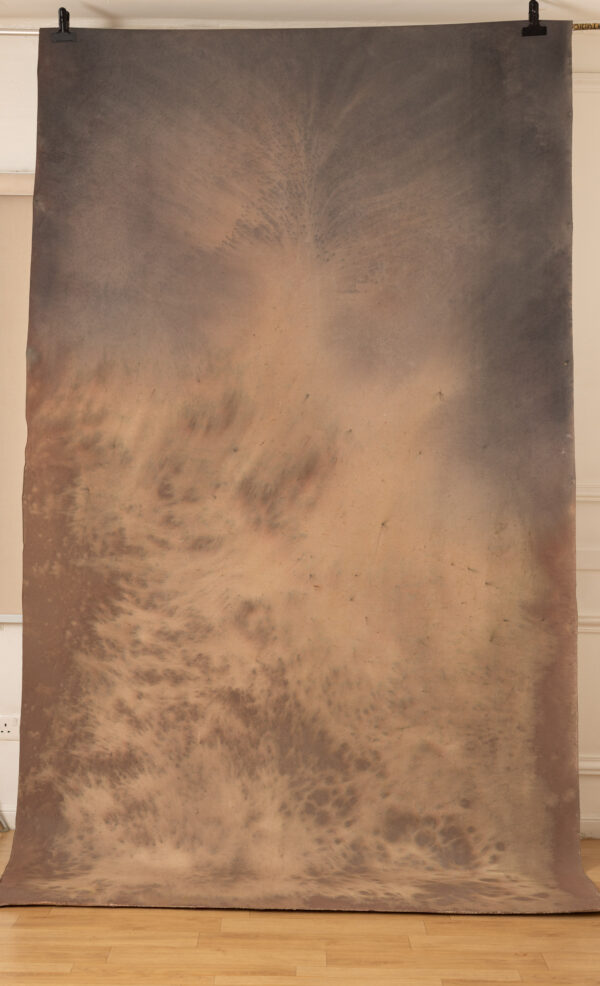 Ethereal Dust Painted Canvas Backdrop (RN#510)