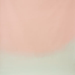 Pastel Frost Painted Canvas Backdrop (SL#482)