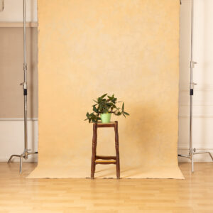 Smoked Coral Painted Canvas Backdrop (RN#511)