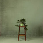 Eden Fire Painted Canvas Backdrop (SL#489)