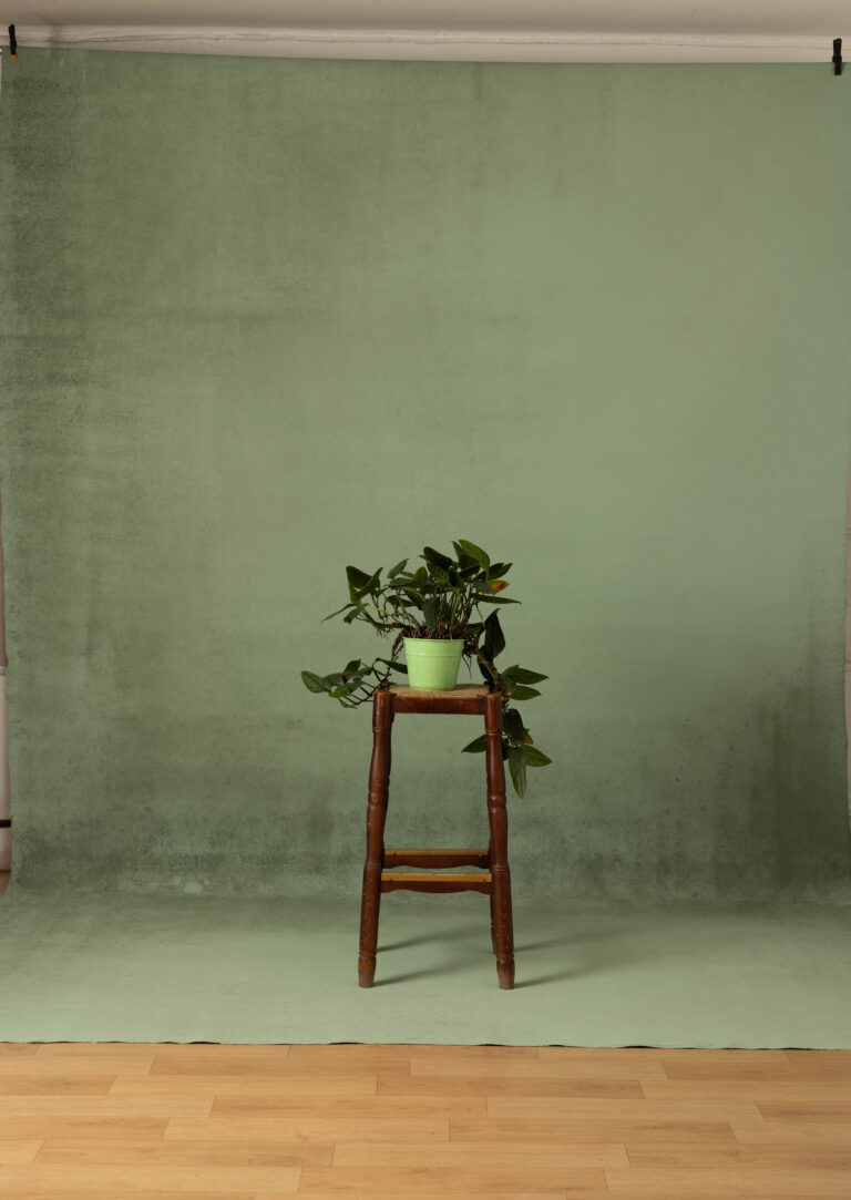 Eden Fire Painted Canvas Backdrop (SL#489)