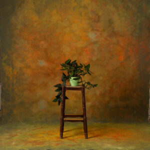 Eden Fire Painted Canvas Backdrop (SL#489)