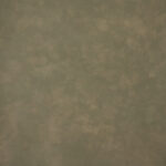 Eden Moss Painted Canvas Backdrop (RN#523)