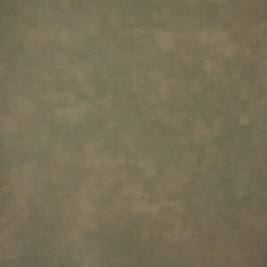 Eden Moss Painted Canvas Backdrop (RN#523)