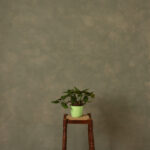 Eden Moss Painted Canvas Backdrop (RN#523)