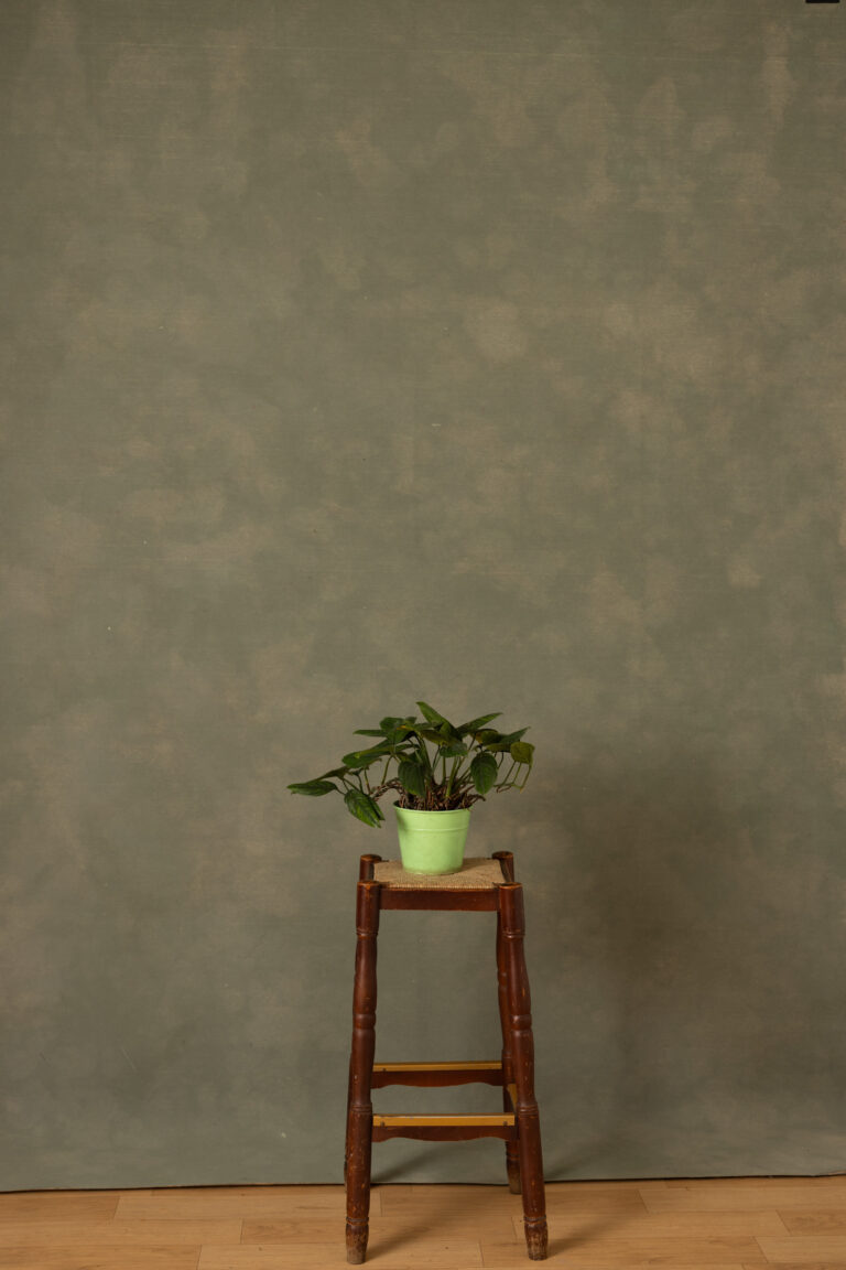 Eden Moss Painted Canvas Backdrop (RN#523)