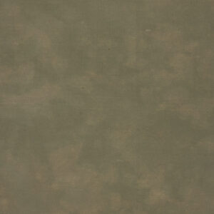 Eden Moss Painted Canvas Backdrop (RN#523)