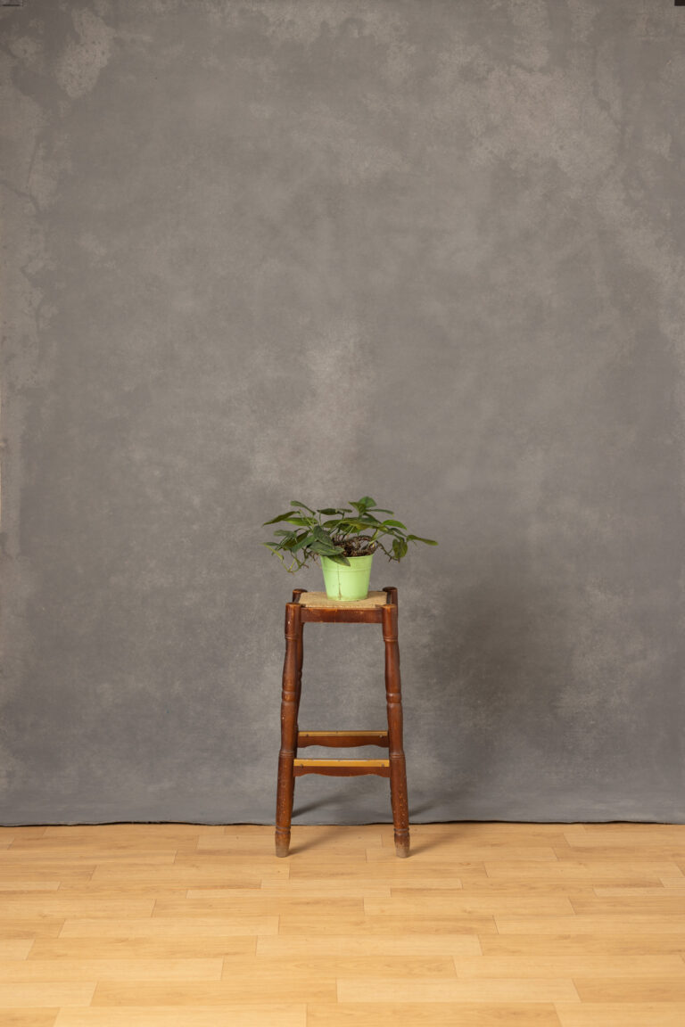 Friar Grey Painted Canvas Backdrop (RN#512)