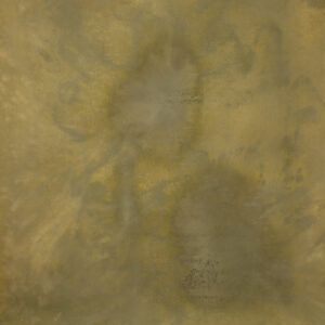 Moccasin Painted Canvas Backdrop (RN#518)