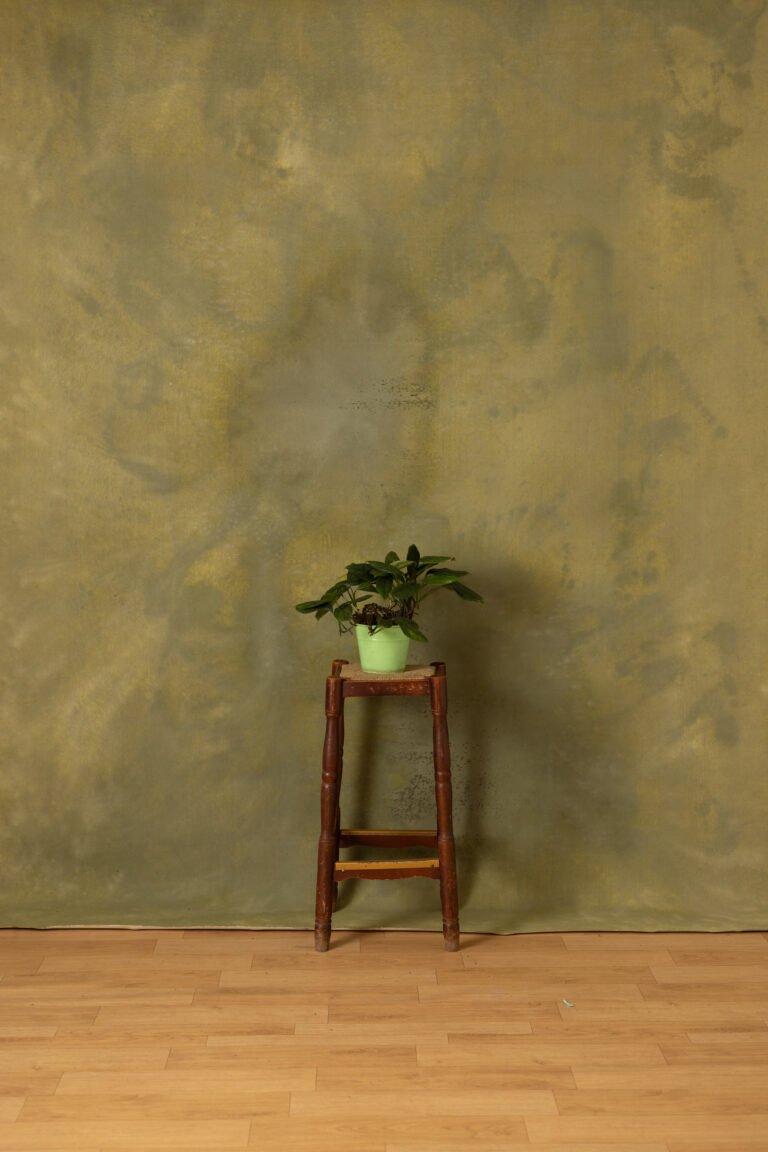 Moccasin Painted Canvas Backdrop (RN#518)