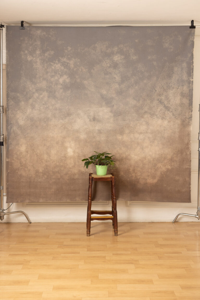 Pale Taupe Painted Canvas Backdrop (RN#513)