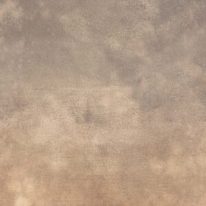 Pale Taupe Painted Canvas Backdrop (RN#513)