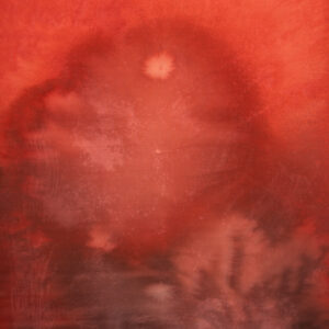 Roof Terracotta Painted Canvas Backdrop (RN#515)