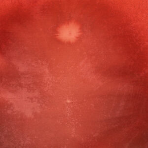 Roof Terracotta Painted Canvas Backdrop (RN#515)