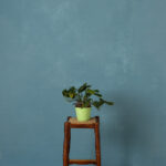 Smalt Cove Painted Canvas Backdrop (RN#516)