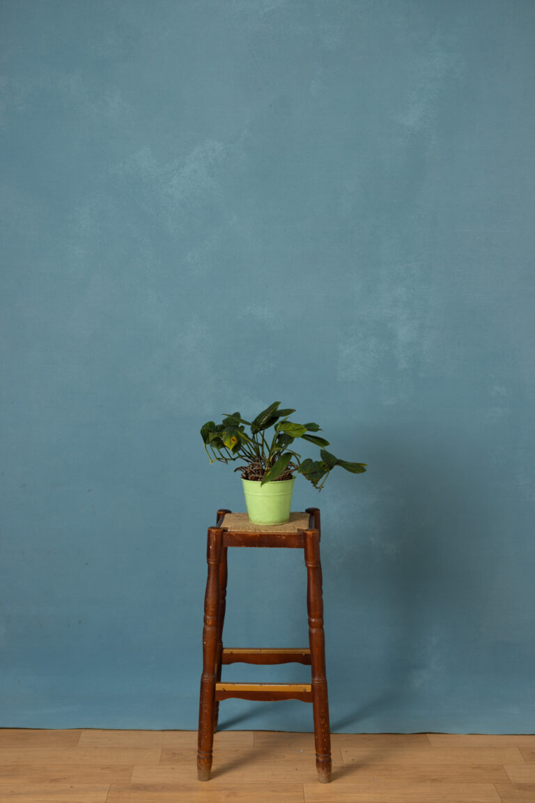 Smalt Cove Painted Canvas Backdrop (RN#516)