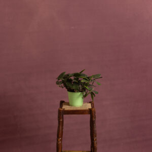 Rosy Mauve Painted Canvas Backdrop (RN#526)