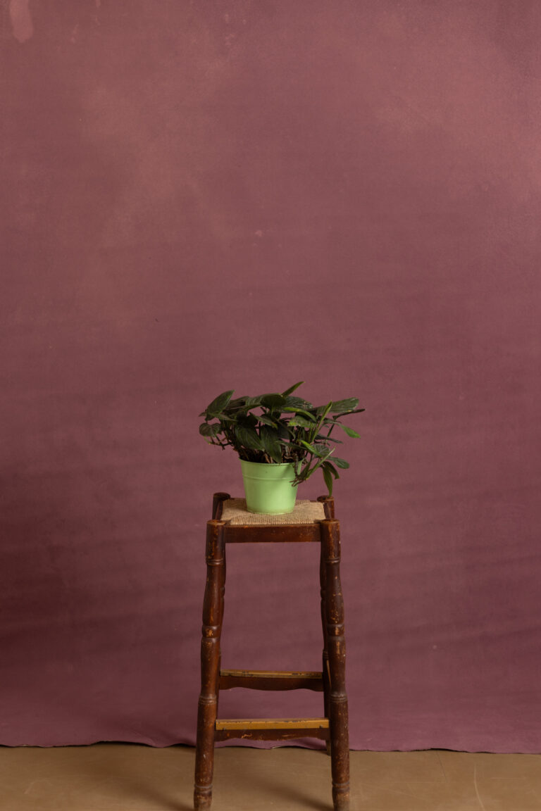 Rosy Mauve Painted Canvas Backdrop (RN#526)