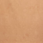 Sand Brown Painted Canvas Backdrop (RN#529)