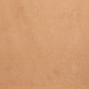Sand Brown Painted Canvas Backdrop (RN#529)