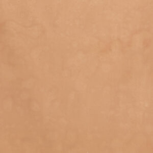 Sand Brown Painted Canvas Backdrop (RN#529)